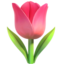 Tulip emoji on Apple