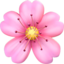 Kirschblüte-Emoji auf Apple