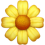 Blossom emoji on Apple