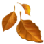 Fallen Leaf emoji on Apple