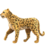 Leopard emoji on Apple