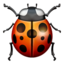 Marienkäfer-Emoji auf Apple