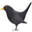 Black Bird emoji on Apple