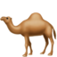 Dromedar-Emoji auf Apple