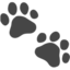 Paw Prints emoji on Apple