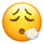 Emoji Muka menghembuskan nafas pada Apple