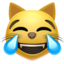 Emoji Chat qui pleure de joie sur Apple