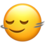 Head Shaking Horizontally emoji on Apple
