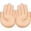 Handflächen nach oben: helle Hautfarbe-Emoji auf Apple