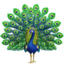 Peacock emoji on Apple