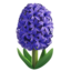 Hyacinth emoji on Apple