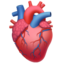 Anatomical Heart emoji on Apple