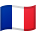 France Flag emoji on Google
