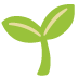 Seedling emoji on Google