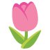 Tulip emoji on Google