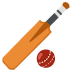 Cricket Game emoji on Google