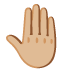 Raised Back of Hand: Medium-Light Skin Tone emoji on Google