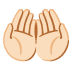 Handflächen nach oben: helle Hautfarbe-Emoji auf Google