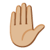 Opgeheven hand: lichtgetinte huidskleur-emoji op Google