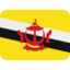 Brunei Flag emoji on X / Twitter