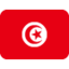 Tunisia Flag emoji on X / Twitter