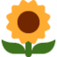 Emoji Girassol no X / Twitter