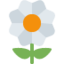 Blossom emoji on X / Twitter