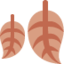 Fallen Leaf emoji on X / Twitter