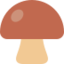 Brown Mushroom emoji on X / Twitter