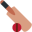 Cricket Game emoji on X / Twitter