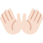 อีโมจิ แบมือ: โทนผิวสีขาว บน X / Twitter