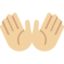 Open Hands: Medium-Light Skin Tone emoji on X / Twitter