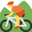 Person Mountain Biking emoji on X / Twitter