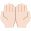 Handflächen nach oben: helle Hautfarbe-Emoji auf X / Twitter