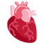 Anatomical Heart emoji on X / Twitter